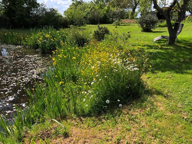 Maison - 195 m² - 3 pièces