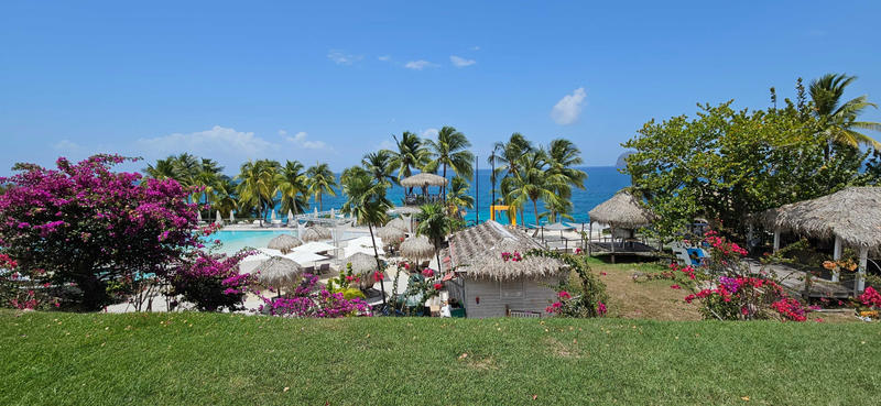 Appartement - 19 m² - 1 pièce