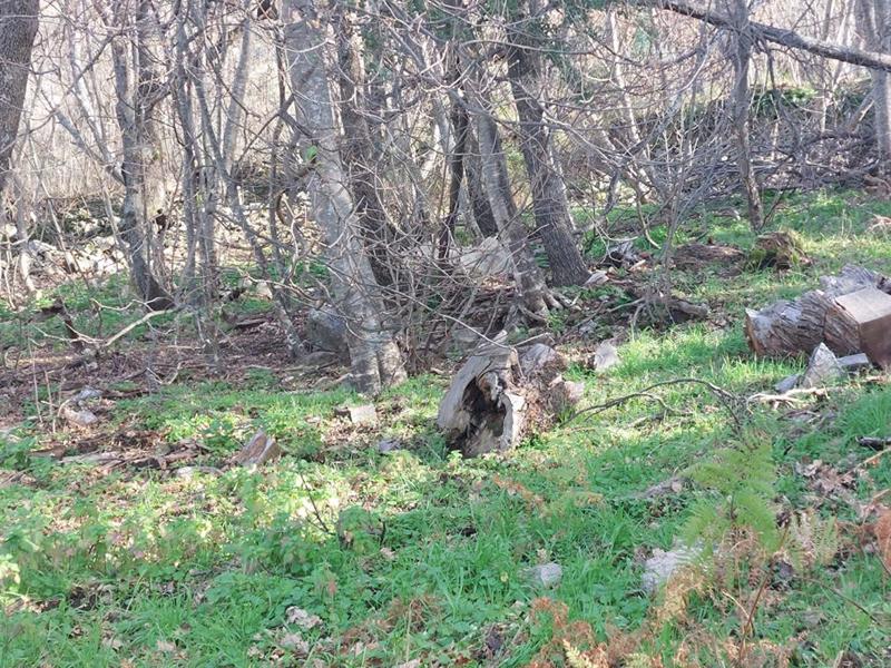 Terrain constructible - 2 000 m²