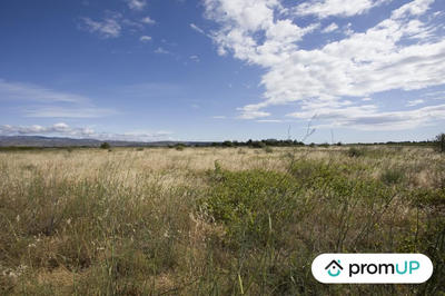 Terrain de loisirs - 5 210 m²