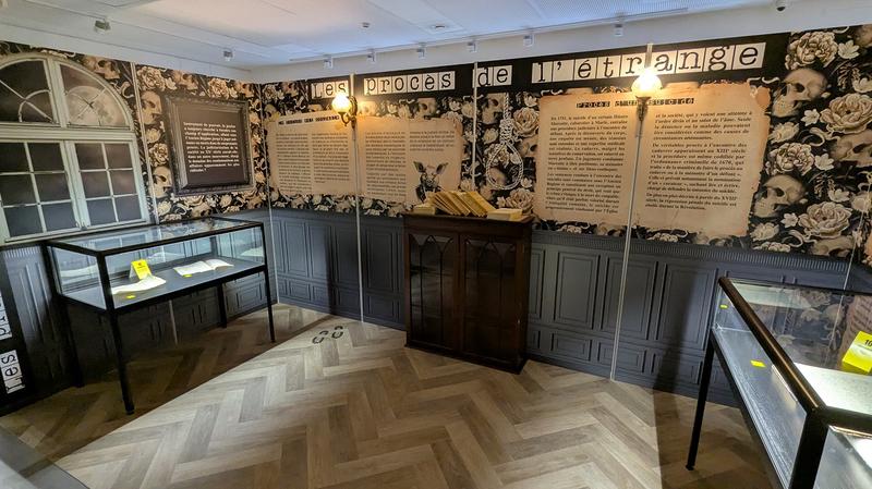 Exposition à Laon : &quot;Coupables ? Chroniques du banc des accusés&quot;