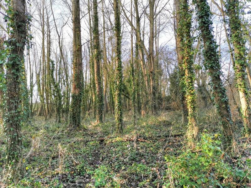 Terrain de loisirs - 14 000 m²