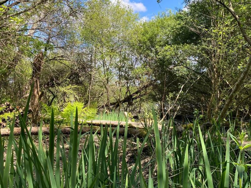 Visite guidée : Sur les traces du blaireau !