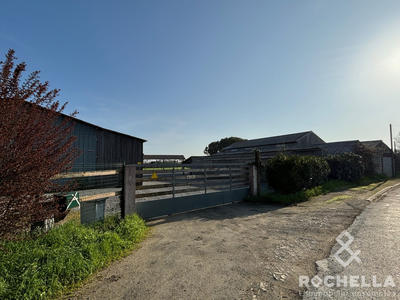 Entrepôt - 1 084 m²