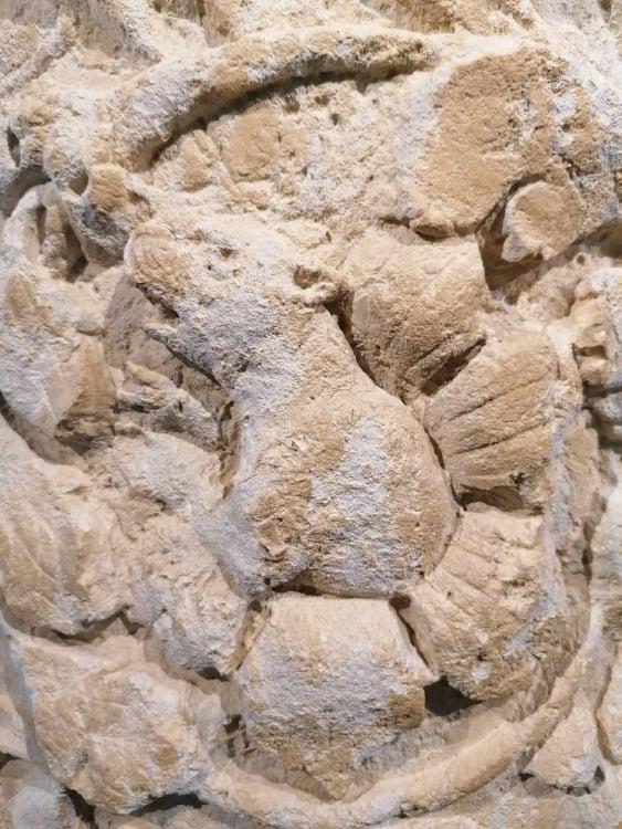 Les vacances au musée