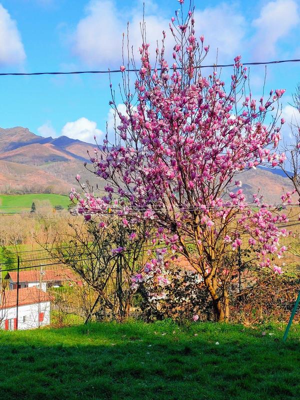 Villa - 225 m² - 8 pièces