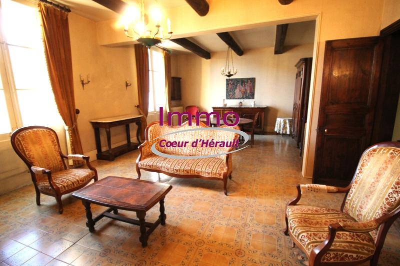 Maison bourgeoise - 229 m² - 7 pièces