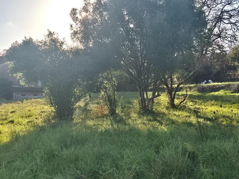 Terrain constructible - 650 m²