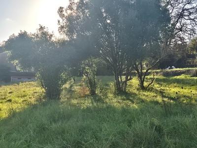 Terrain constructible - 650 m²
