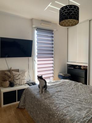 Appartement - 38 m² - 2 pièces