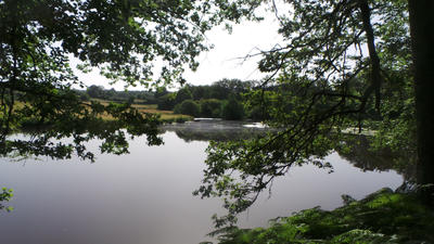 Terrain - 50 000 m²