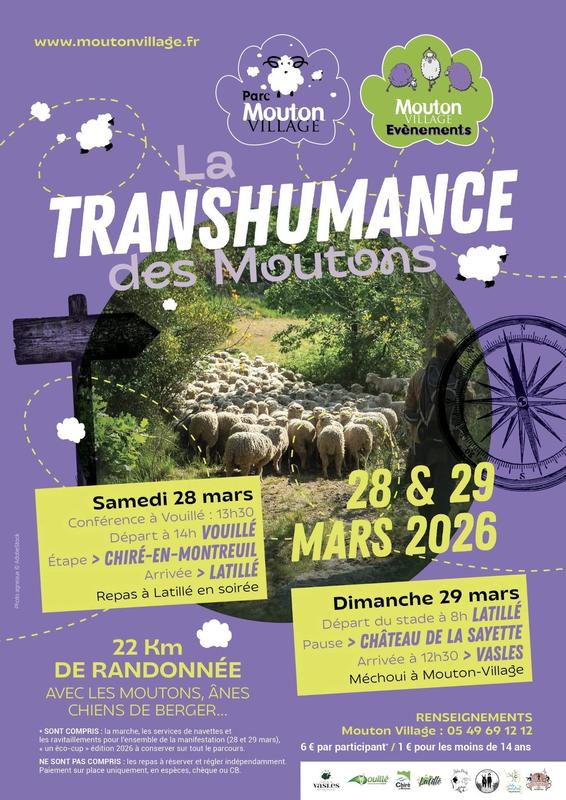 La Transhumance des Moutons