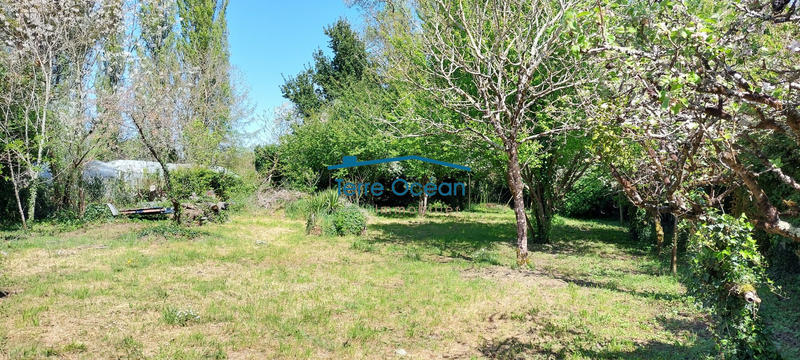 Maison ancienne - 90 m² - 5 pièces