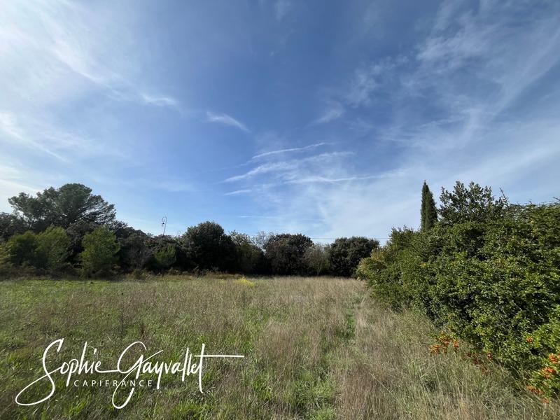 Terrain constructible - 3 000 m²