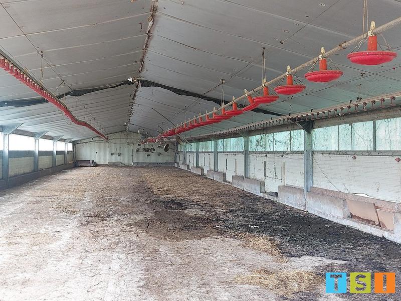 Corps de ferme - 170 m² - 6 pièces
