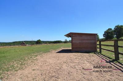 Terrain agricole - 45 116 m²