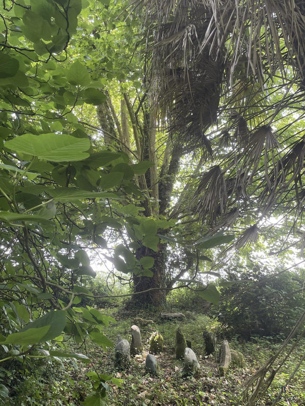 Maison - 190 m² - 7 pièces