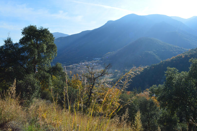 Terrain - 18 305 m²