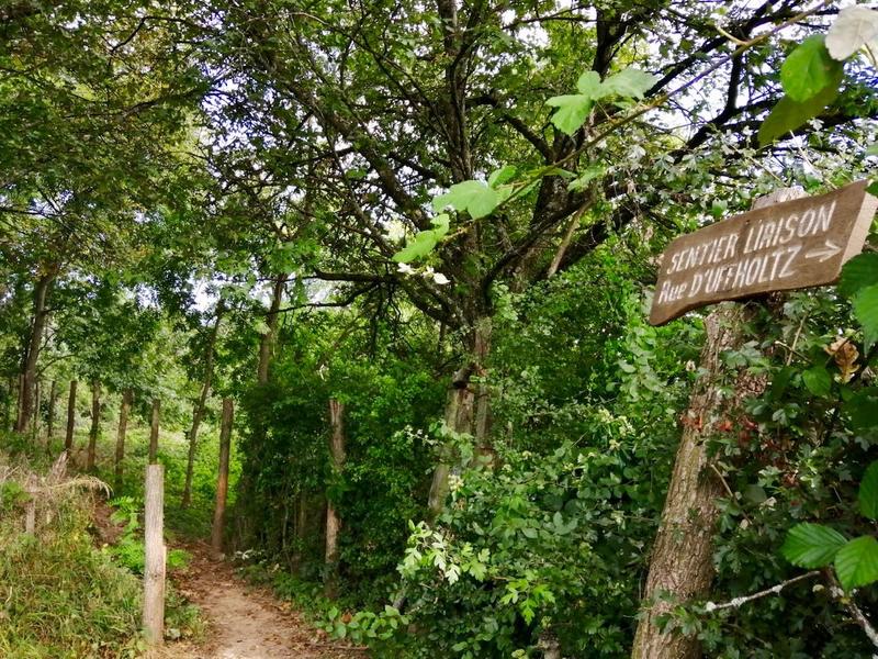 Escape Game : au fil de l'eau