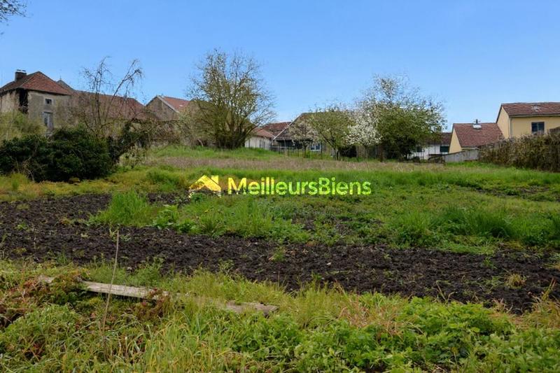 Propriété - 291 m² - 7 pièces