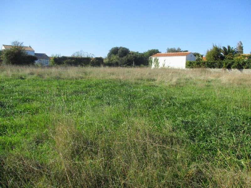 Terrain - 537 m²