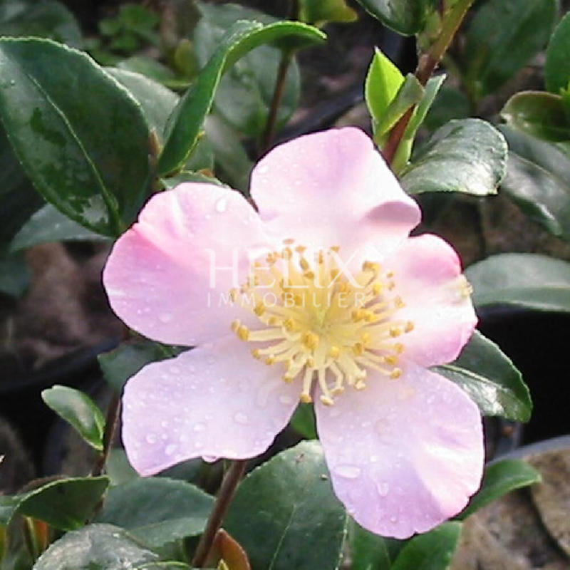 Appartement - 89 m² - 4 pièces