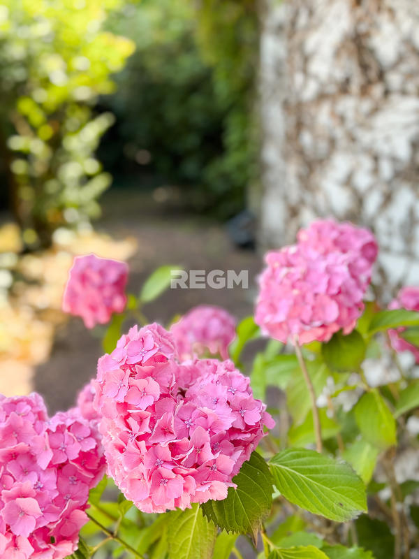 Maison - 136 m² - 5 pièces