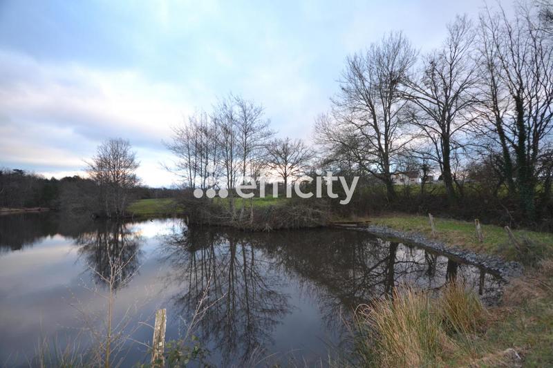 Maison de campagne - 140 m² - 5 pièces