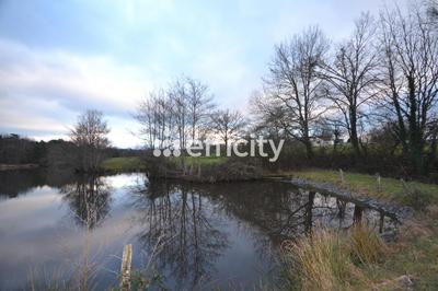 Maison de campagne - 140 m² - 5 pièces