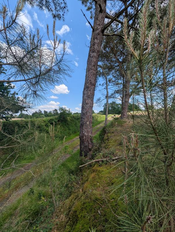 Villa - 150 m² - 5 pièces