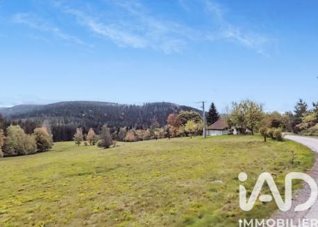 Terrain - 19 000 m²