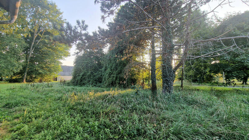 Terrain constructible - 590 m²