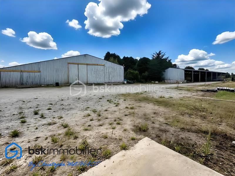 Entrepôt - 1 700 m² - 12 pièces