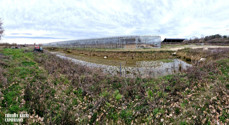 Terrain agricole - 120 000 m²