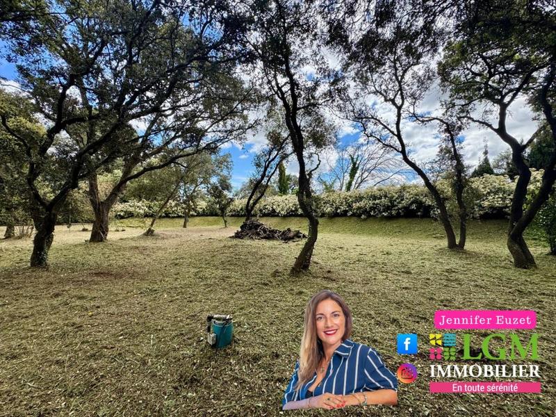 Terrain constructible - 1 429 m²