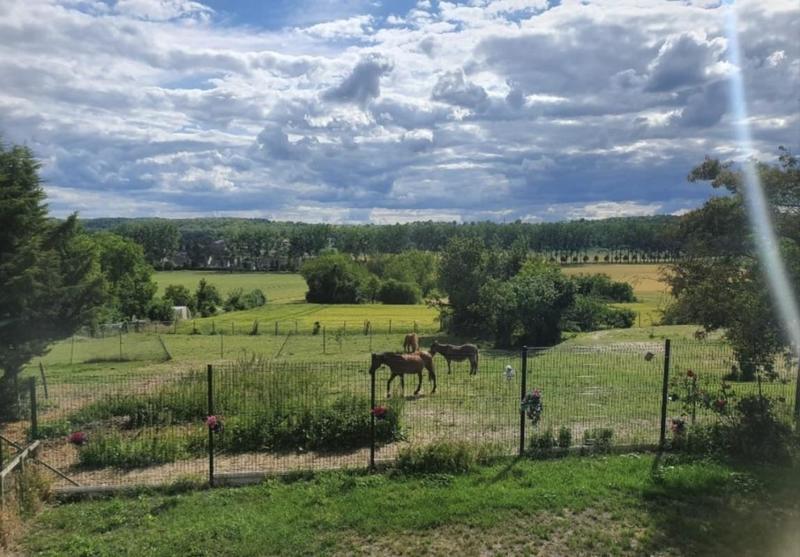 Maison - 105 m² - 3 pièces