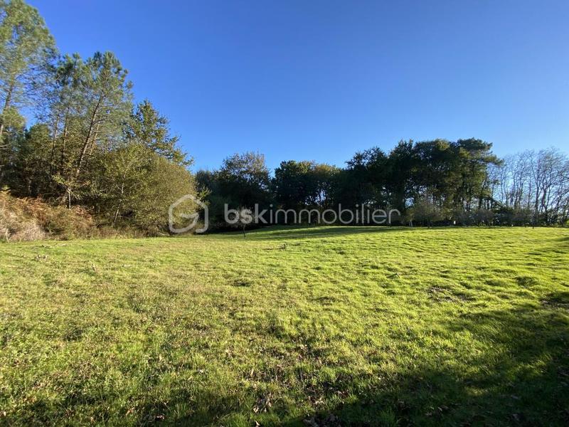 Ferme - 360 m² - 10 pièces