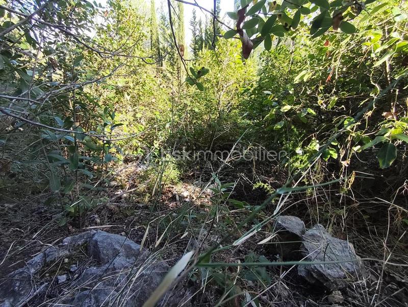 Terrain agricole - 1 625 m²