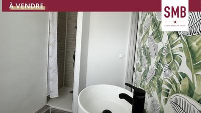 Studio - 19 m² - 1 pièce