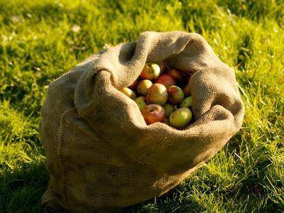 Fête de la pomme au Prieuré Saint-Gabriel