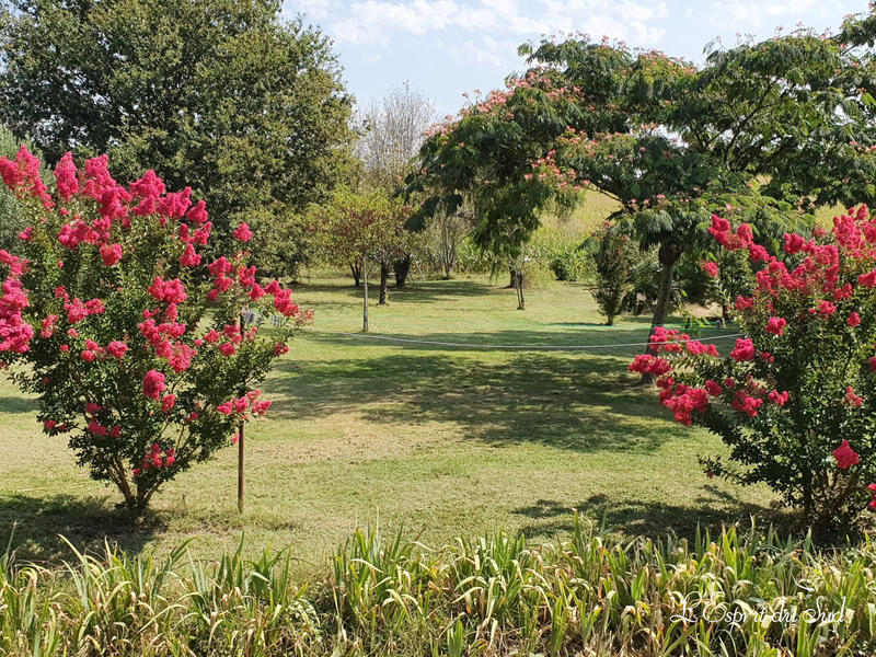 Maison - 290 m² - 9 pièces