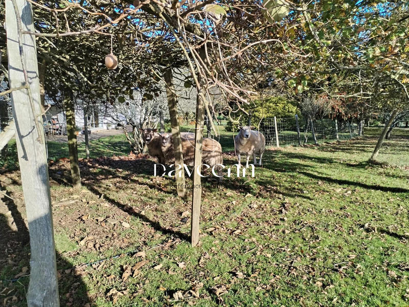 Maison - 154 m² - 5 pièces