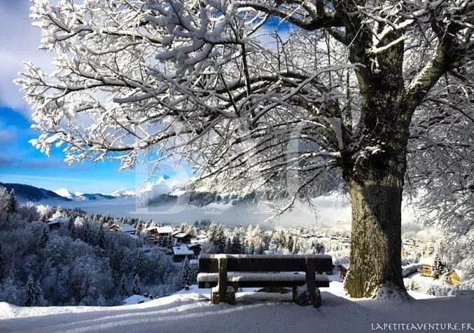 Châlet - 300 m² - 9 pièces