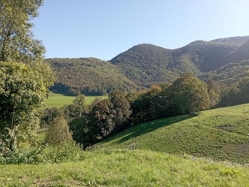 Grange - 90 m² - 2 pièces