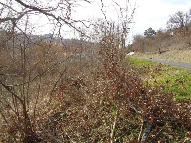 Terrain constructible - 931 m²