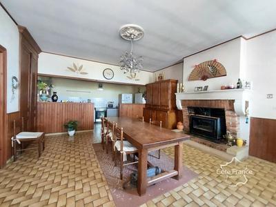 Maison de maîtres - 217 m² - 6 pièces