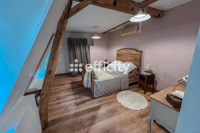 Château - 230 m² - 9 pièces