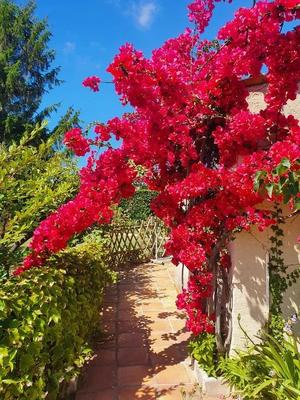 Maison - 165 m² - 4 pièces