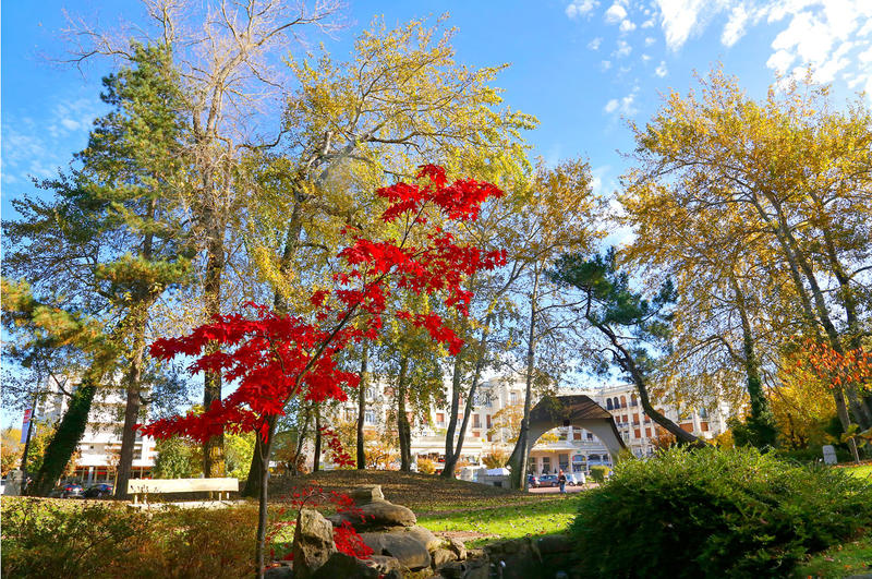 Visite guidée - les Jardins de la Manche