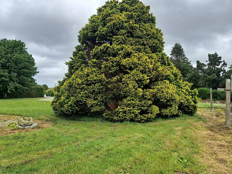 Maison - 140 m² - 9 pièces